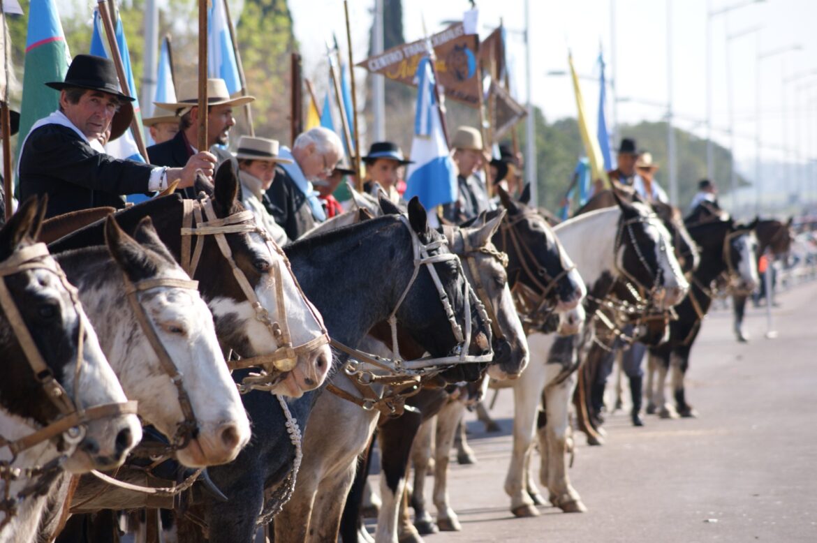 Hoy celebrarán el Día del Caballo Criollo