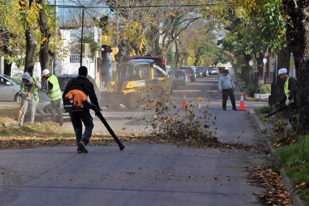 «Luján Limpio»: operativo de barrido y limpieza de hojas