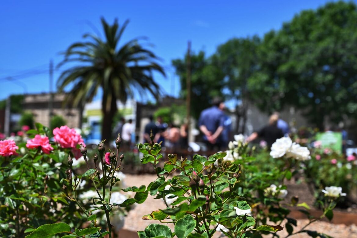 Jornada de poda y entrega de esquejes en el Rosedal del Parque San Martín