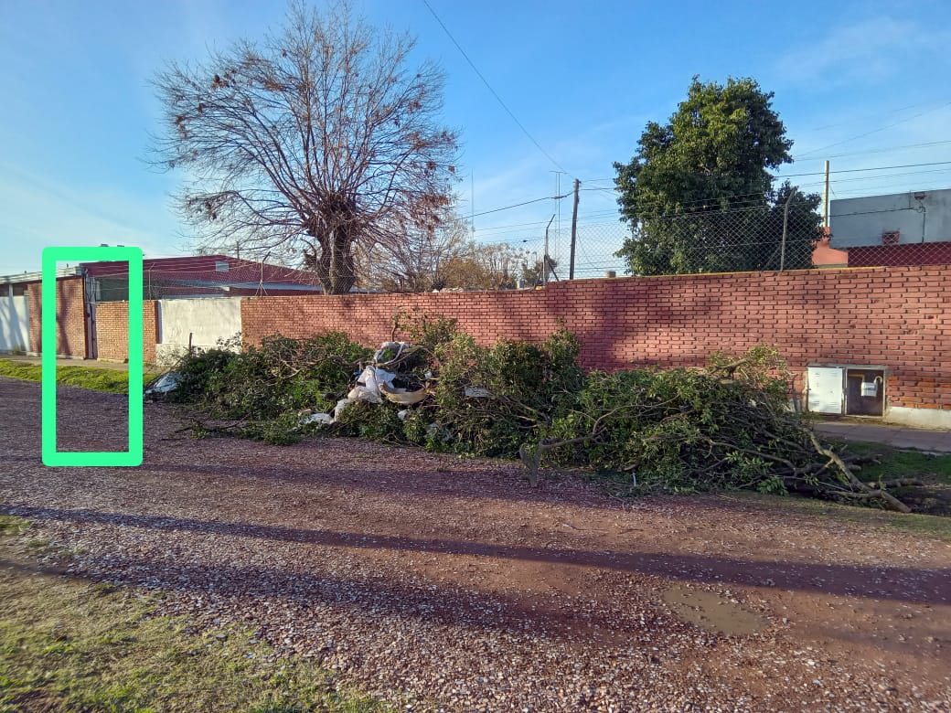 Indignación por las ramas que tiraron frente a una escuela