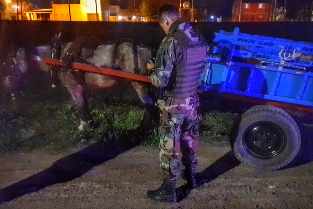 23 carros y más de 80 jinetes montados fueron detenidos