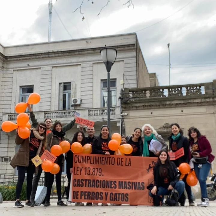 Por las castraciones masivas: VeSPA cierra el año